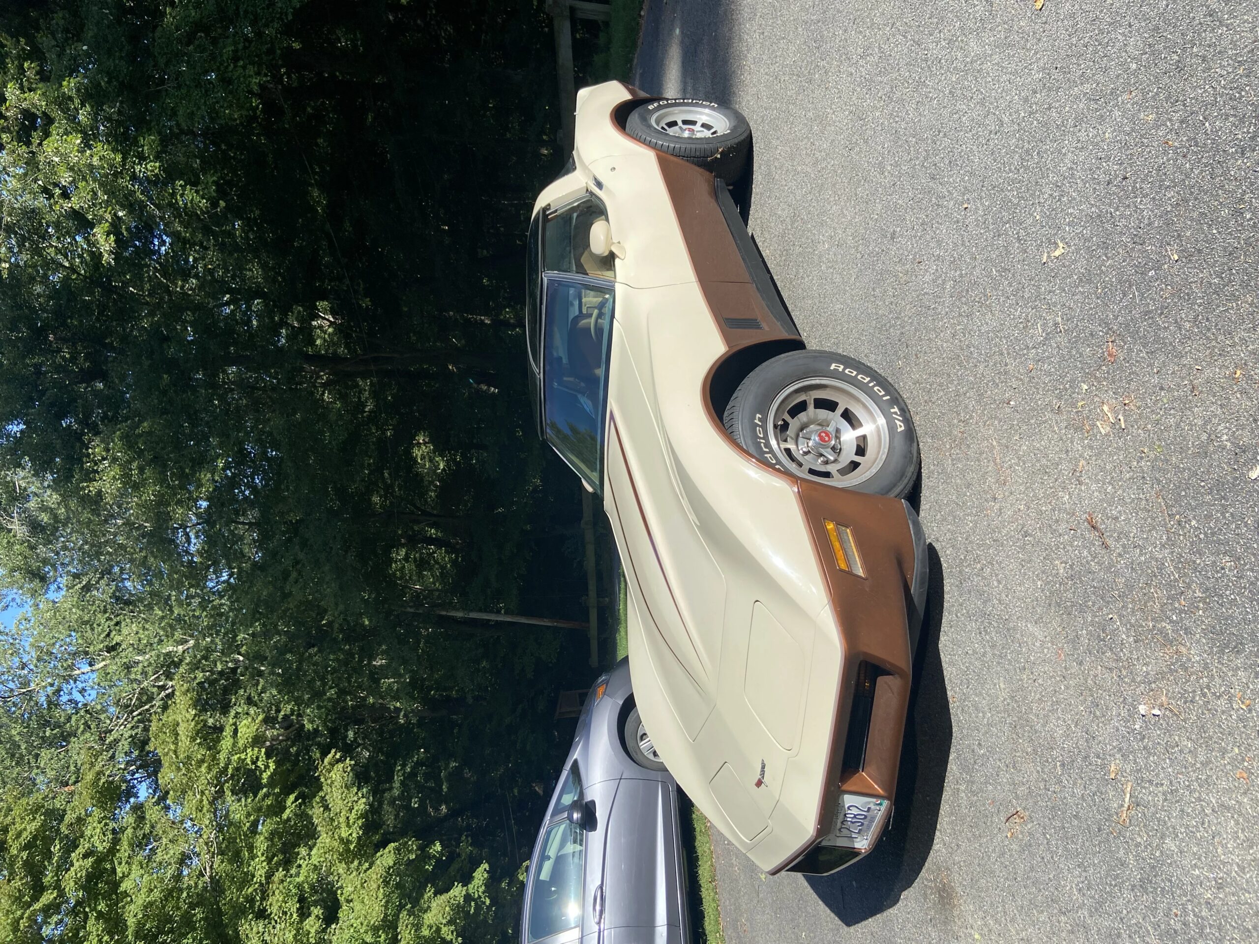 Chevrolet-Corvette-coupe-1981-Beige-Beige-8