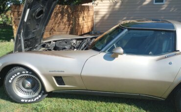 Chevrolet-Corvette-coupe-1982-Custom-Beige-2