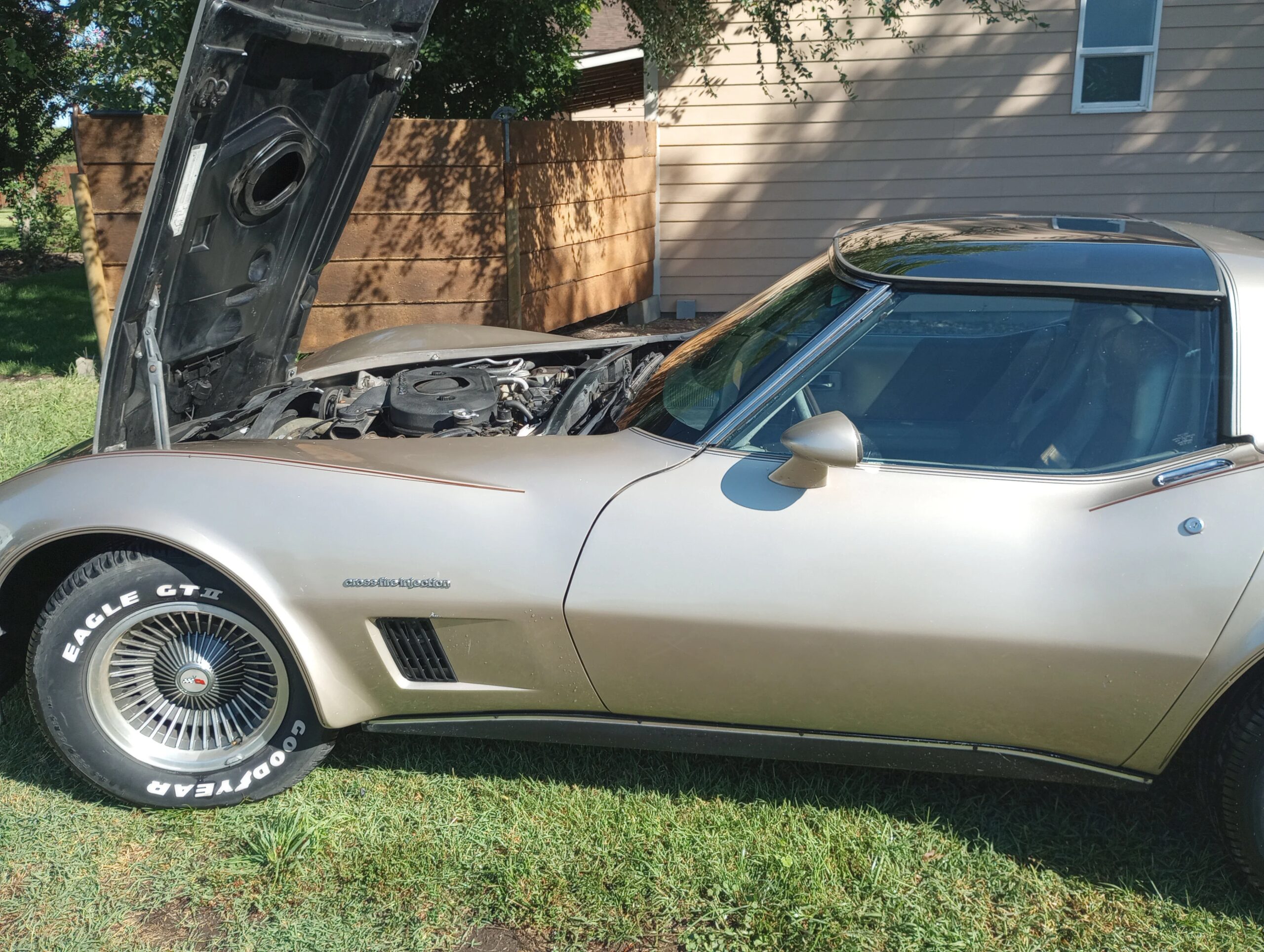 Chevrolet-Corvette-coupe-1982-Custom-Beige-2