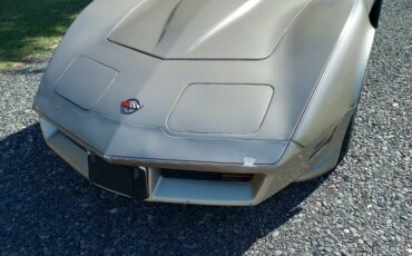 Chevrolet-Corvette-coupe-1982-Custom-Beige