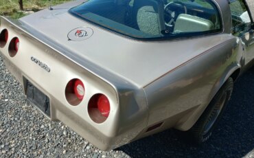 Chevrolet-Corvette-coupe-1982-Custom-Beige-7