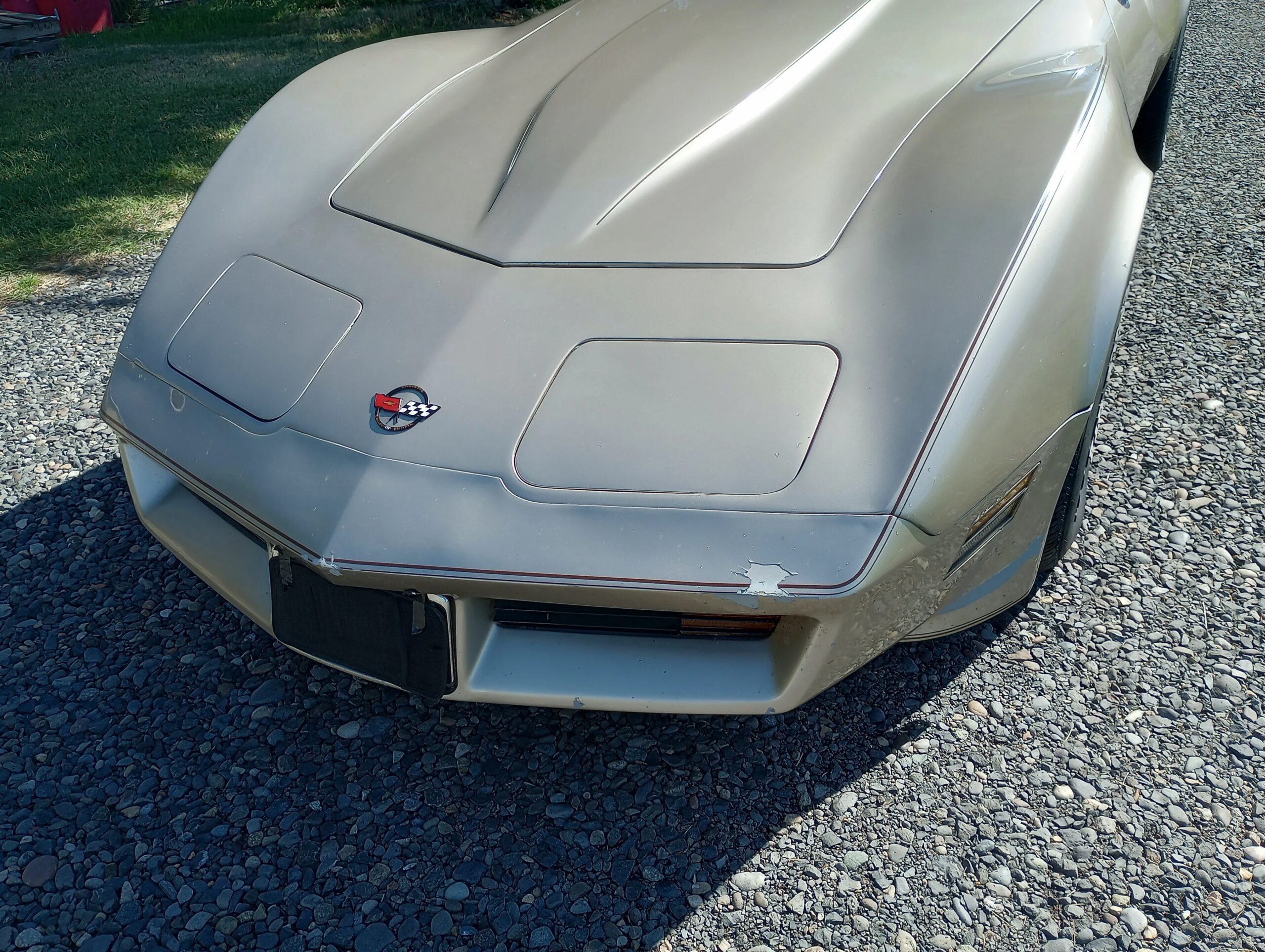 Chevrolet-Corvette-coupe-1982-Custom-Beige