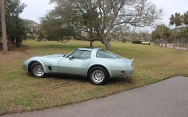 Chevrolet-Corvette-coupe-1982-Other-Green-1