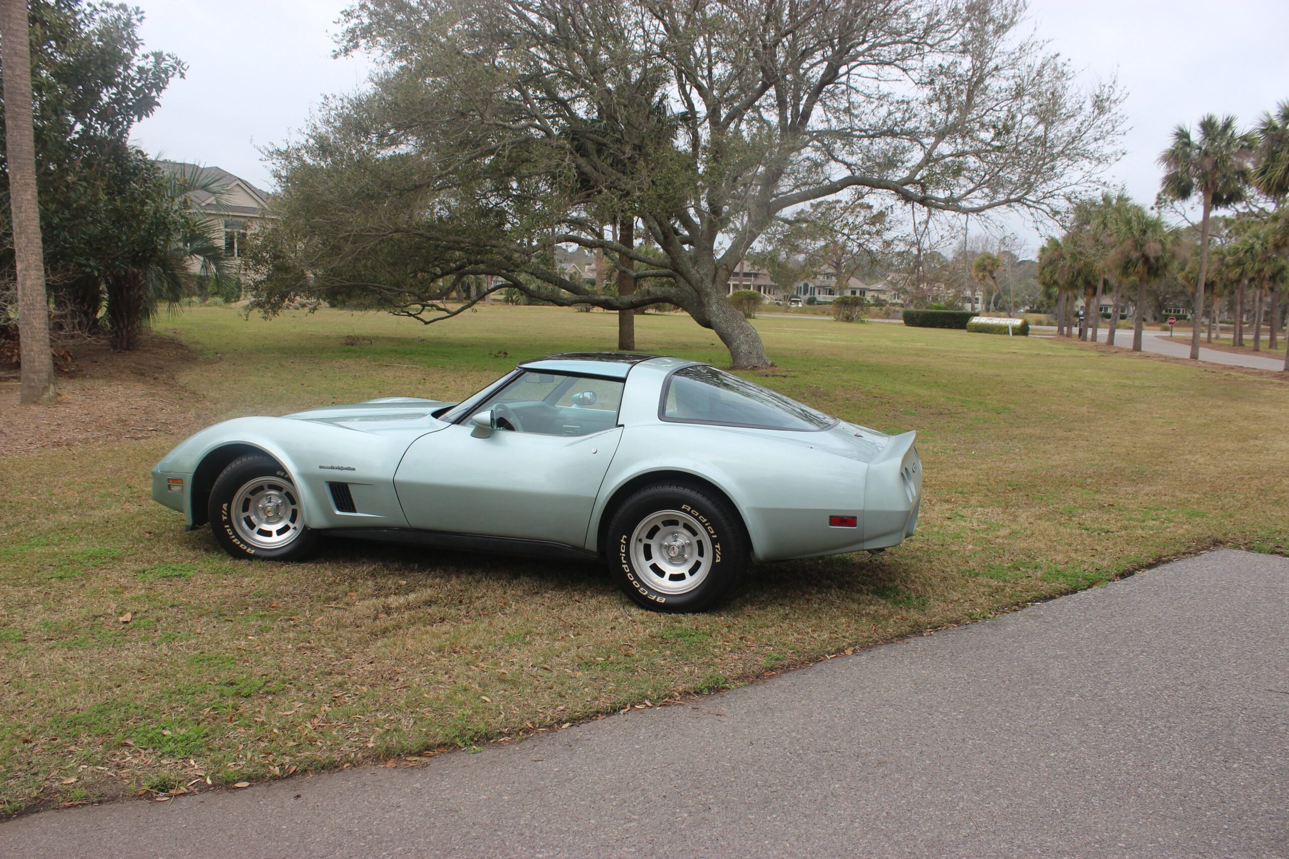 Chevrolet-Corvette-coupe-1982-Other-Green-1