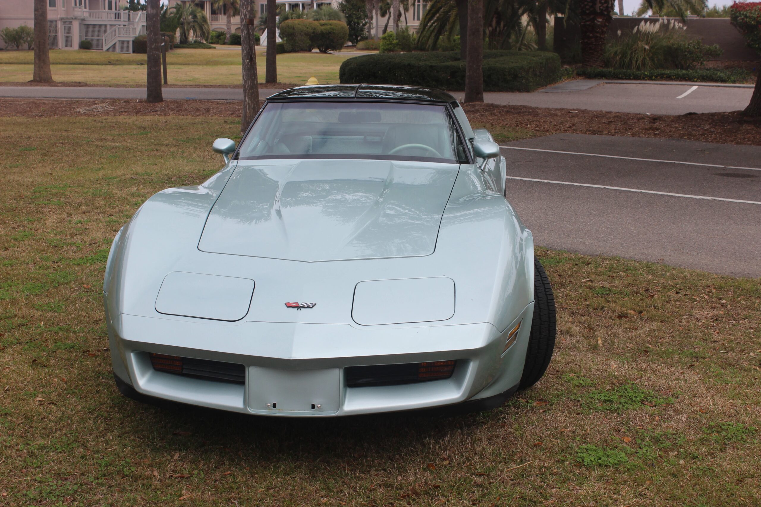 Chevrolet-Corvette-coupe-1982-Other-Green