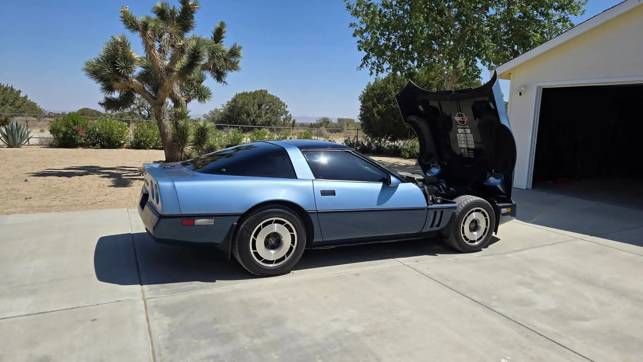 Chevrolet-Corvette-coupe-1984-16