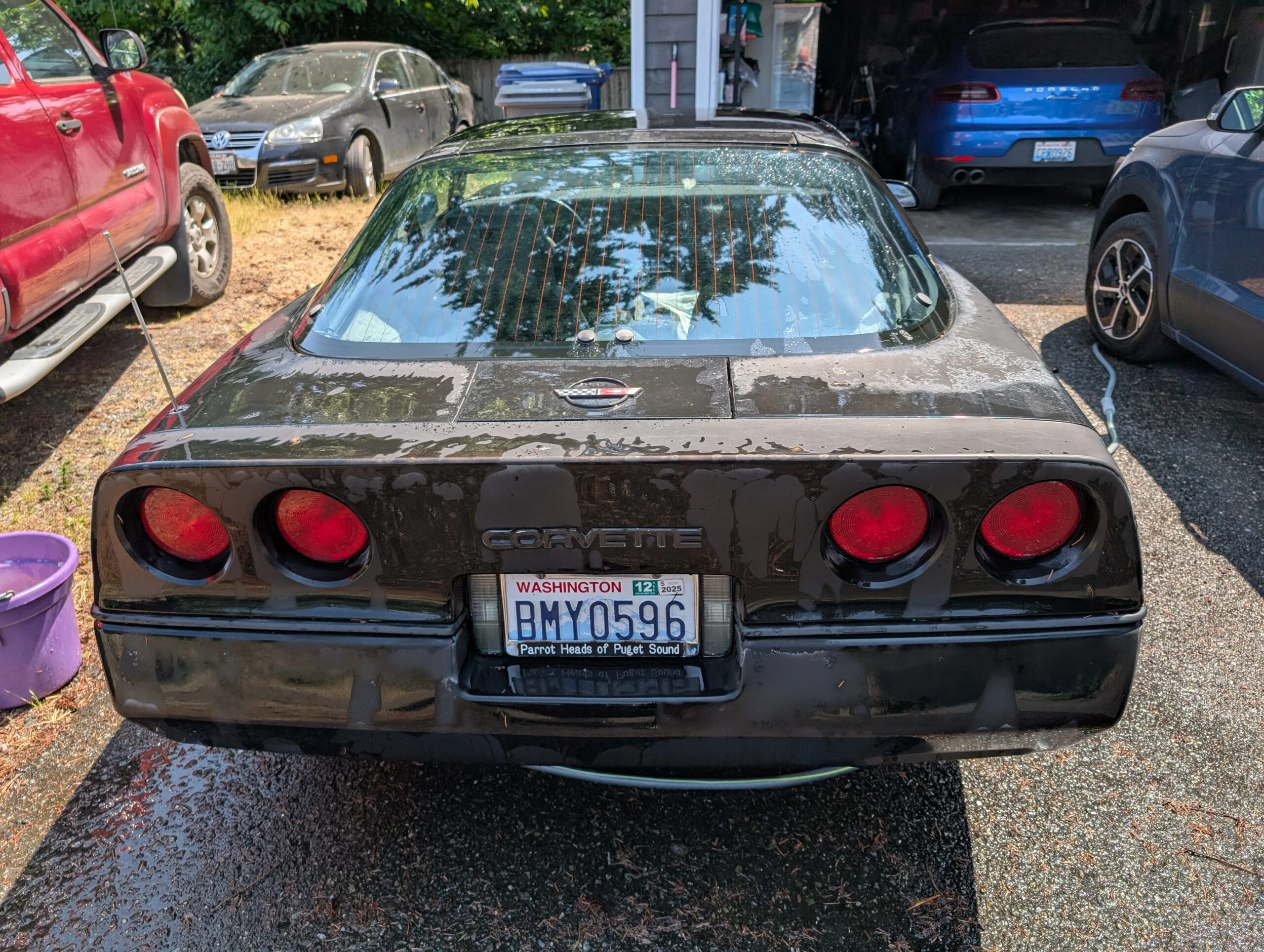 Chevrolet-Corvette-coupe-1984-Black-Gray-3