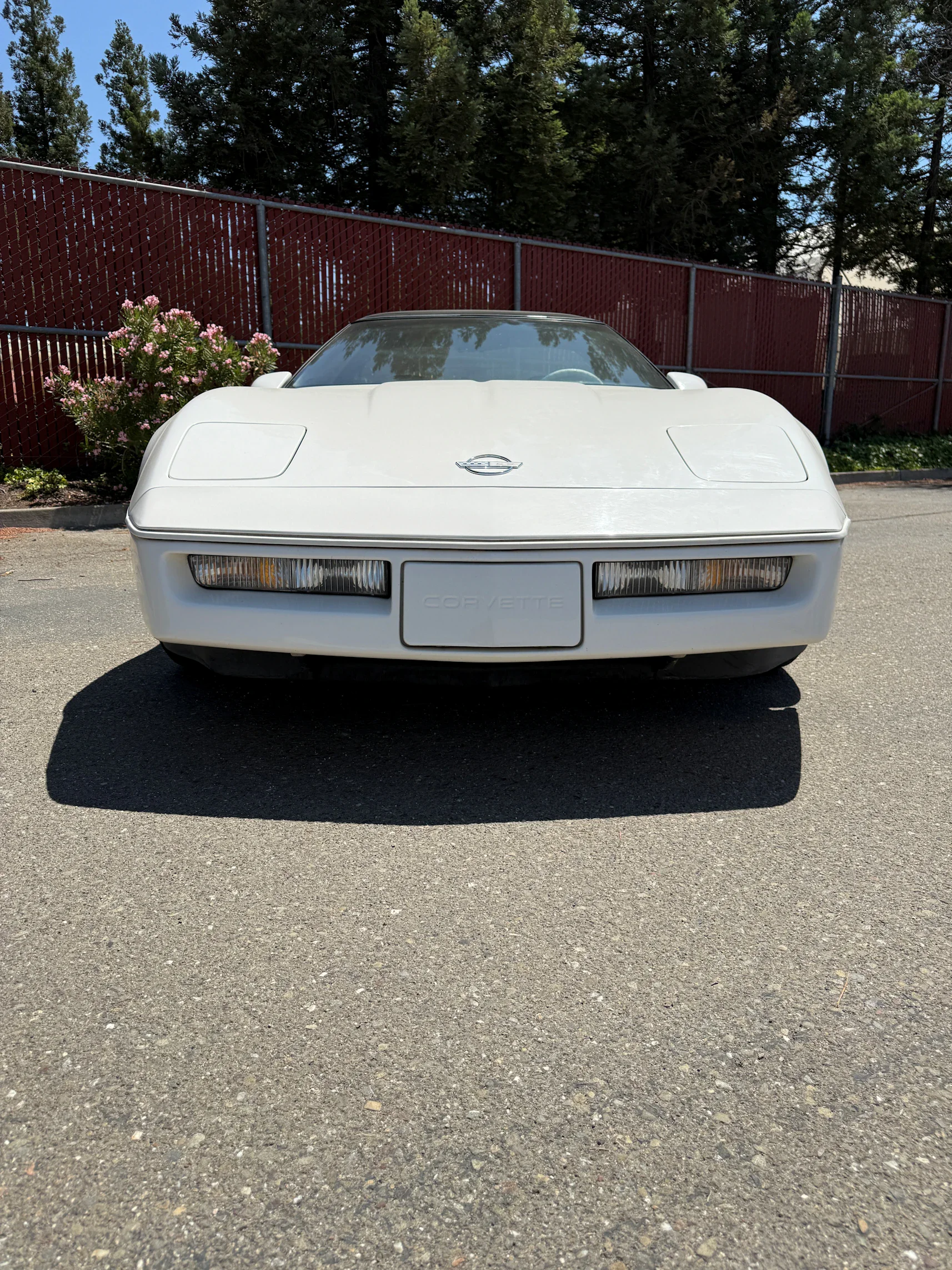 Chevrolet-Corvette-coupe-1988-White-White-14