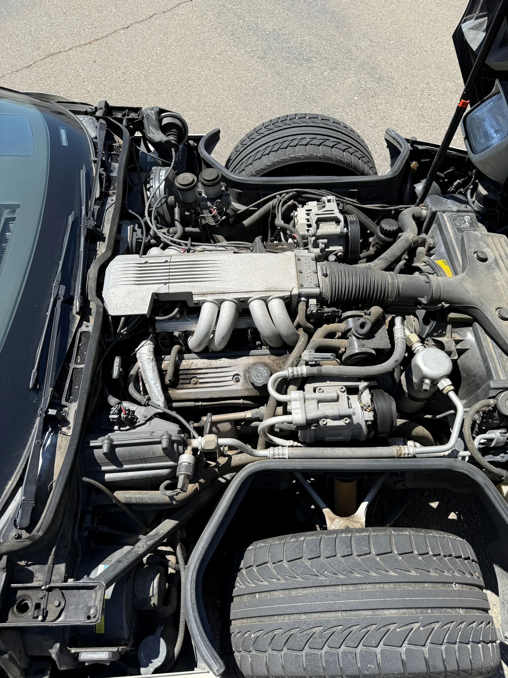 Chevrolet-Corvette-coupe-1988-White-White-25