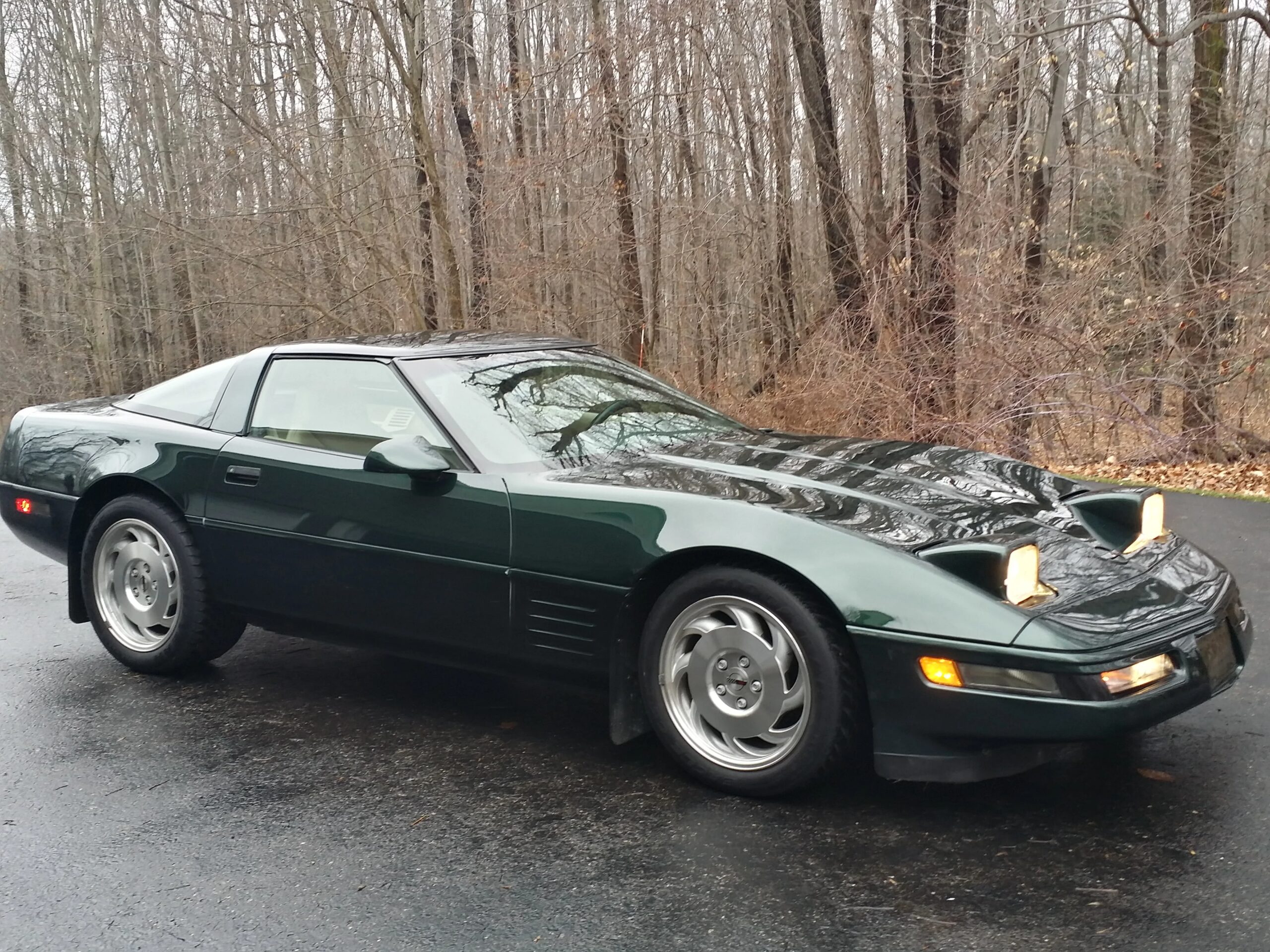 Chevrolet-Corvette-coupe-1994-Green-Tan-1
