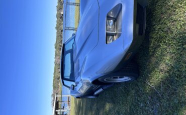 Chevrolet-Corvette-gt1-championship-coupe-1978-Silver-Blue-4