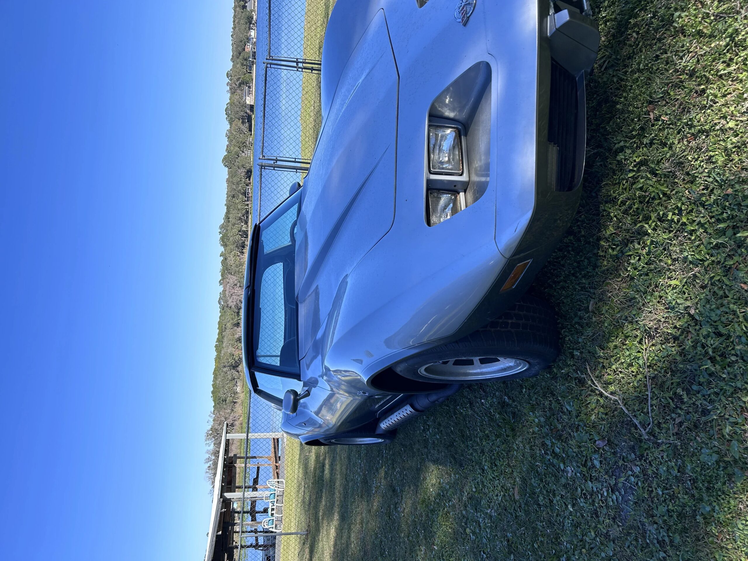 Chevrolet-Corvette-gt1-championship-coupe-1978-Silver-Blue-4
