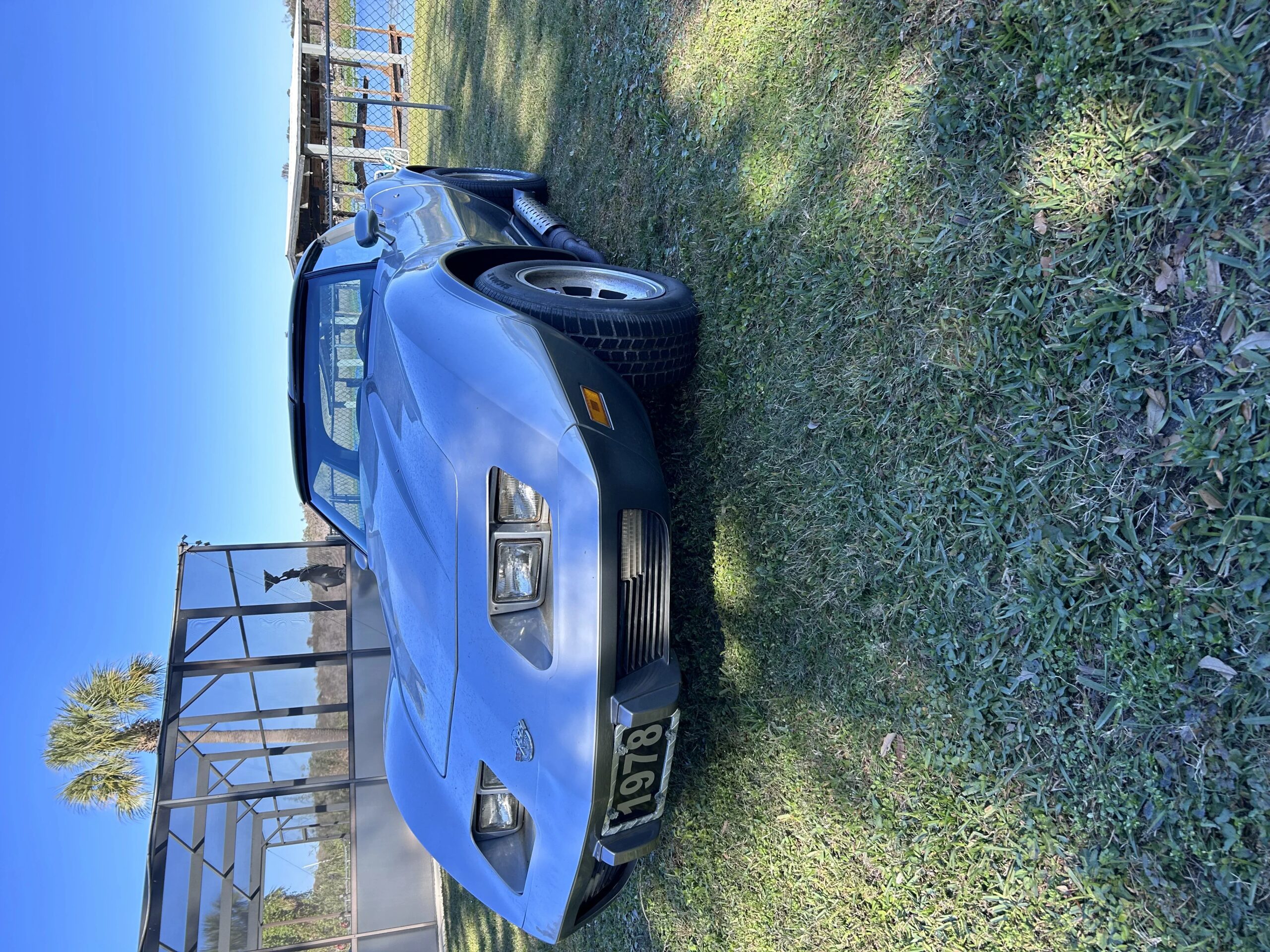 Chevrolet-Corvette-gt1-championship-coupe-1978-Silver-Blue-6