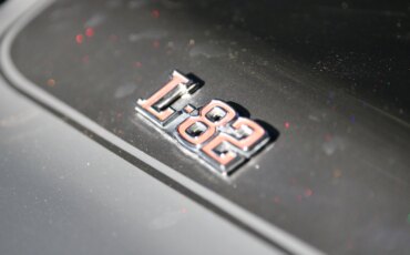 Chevrolet-Corvette-lt-1-1978-Silver-White-1