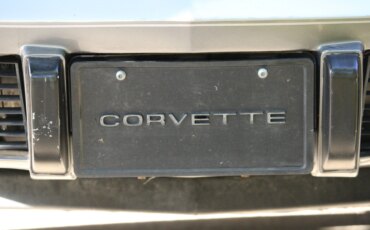 Chevrolet-Corvette-lt-1-1978-Silver-White-10