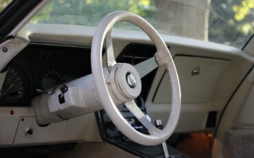 Chevrolet-Corvette-lt-1-1978-Silver-White-2