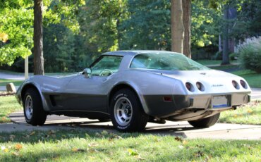 Chevrolet-Corvette-lt-1-1978-Silver-White-22