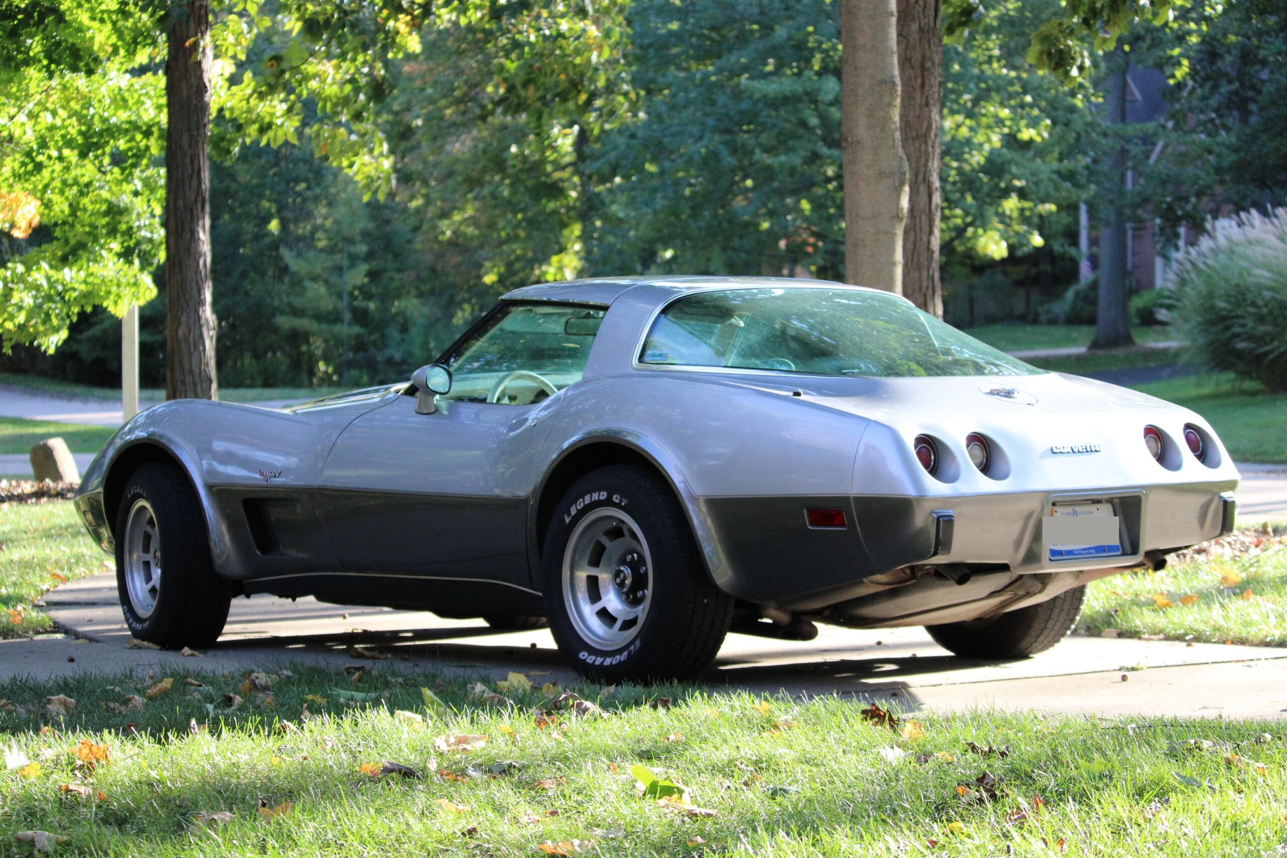 Chevrolet-Corvette-lt-1-1978-Silver-White-22