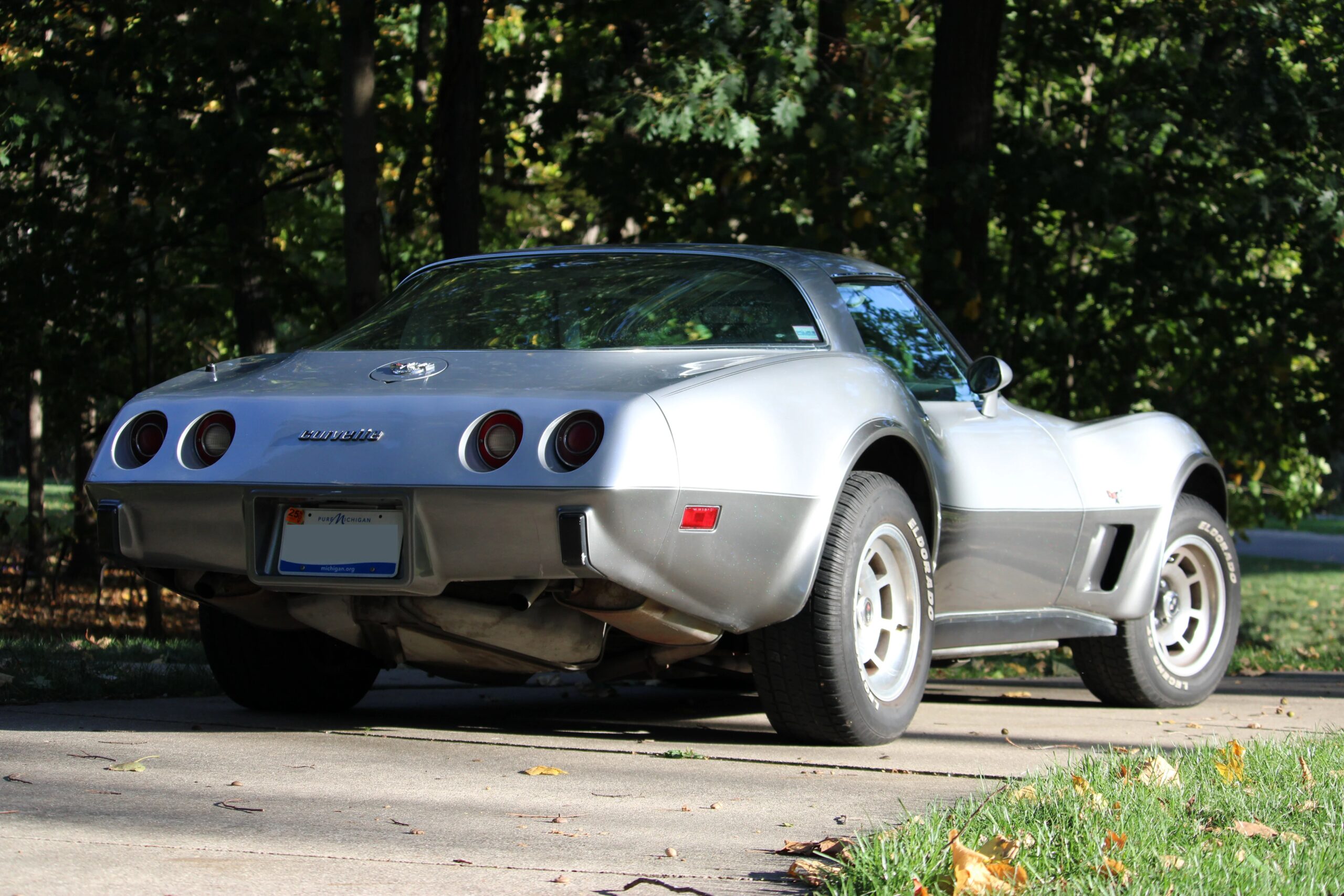 Chevrolet-Corvette-lt-1-1978-Silver-White-6