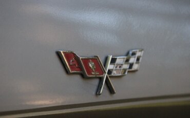 Chevrolet-Corvette-lt-1-1978-Silver-White-8