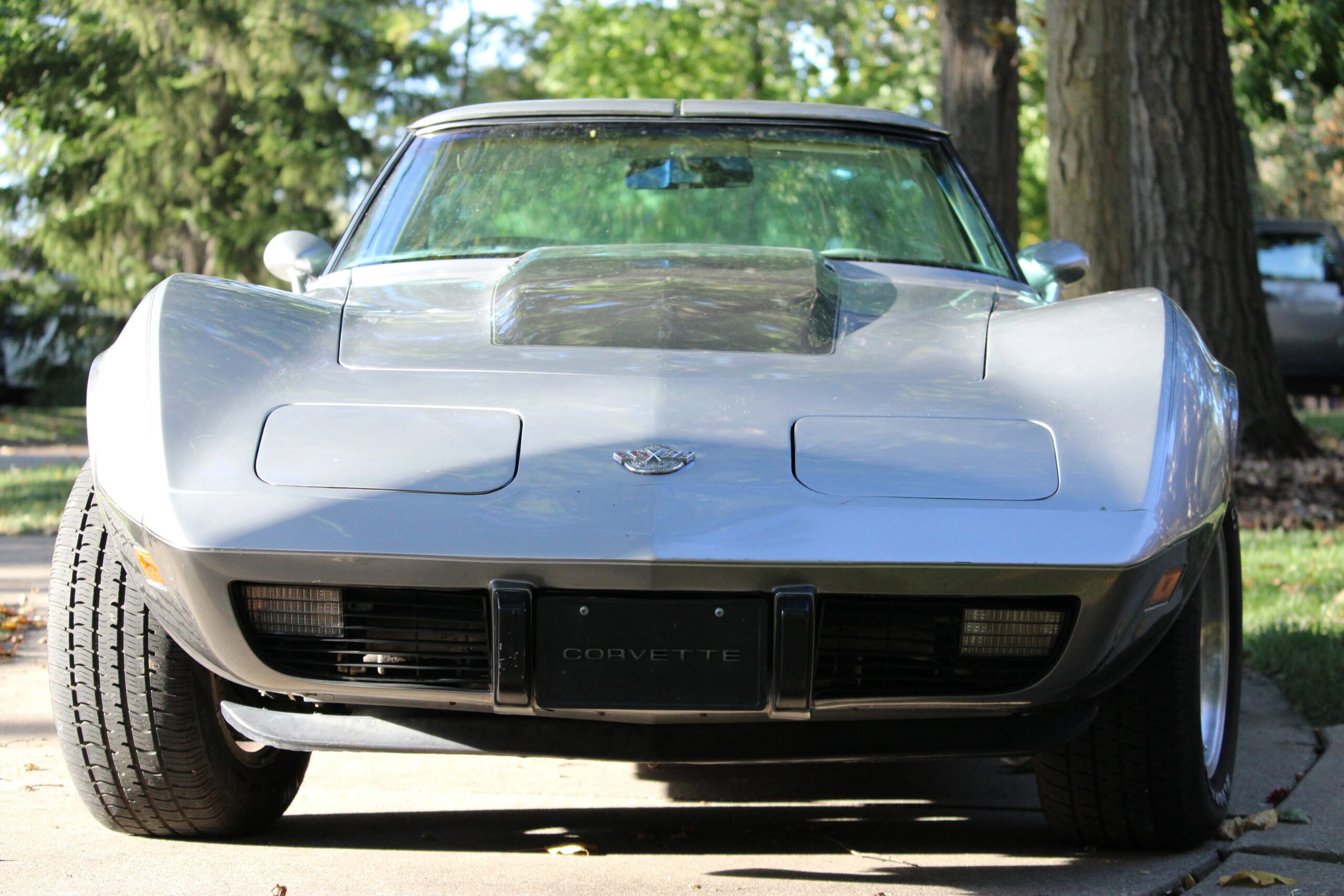 Chevrolet-Corvette-lt-1-1978-Silver-White