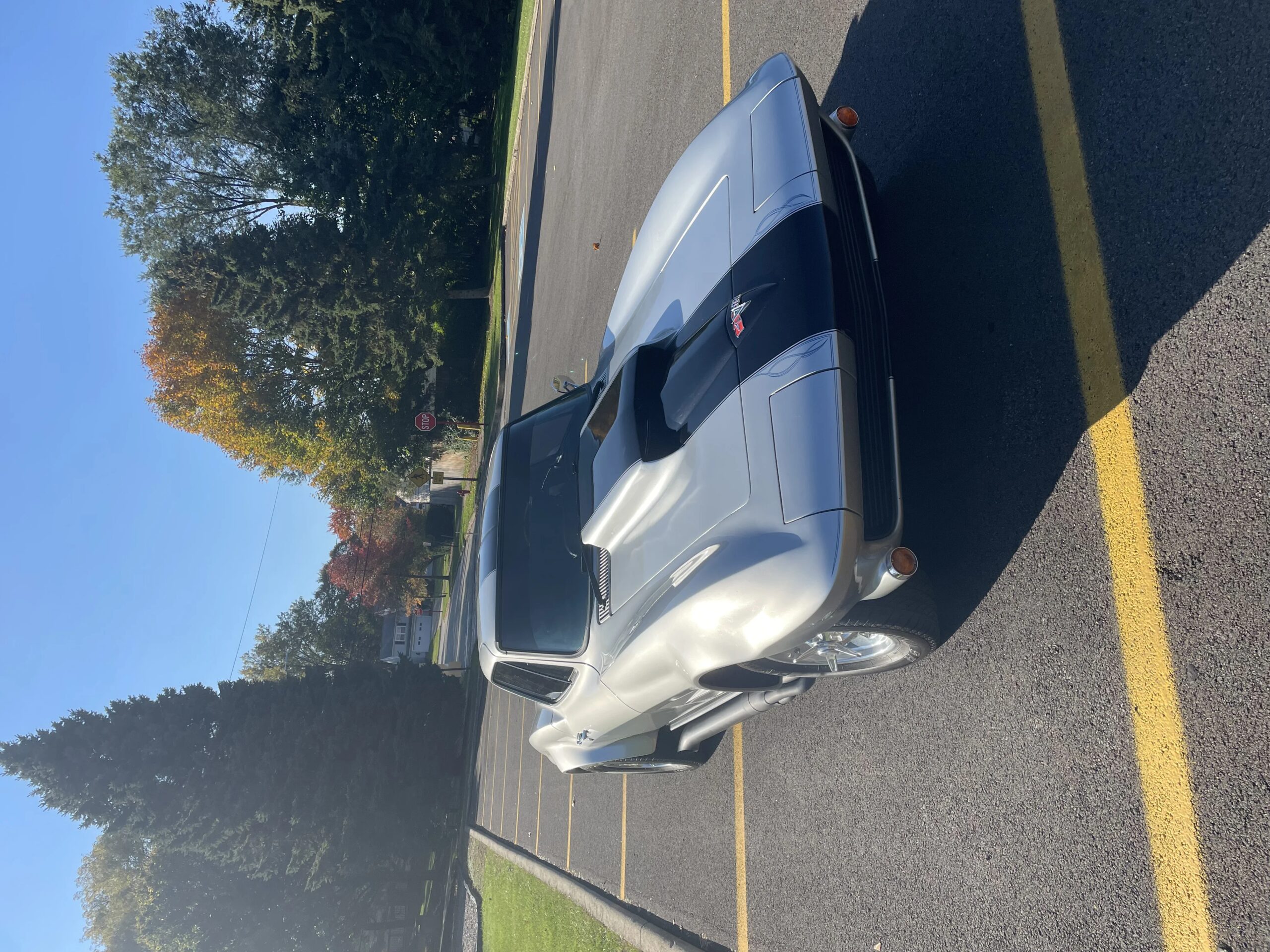 Chevrolet-Corvette-stingray-1964-Gray-Black-13