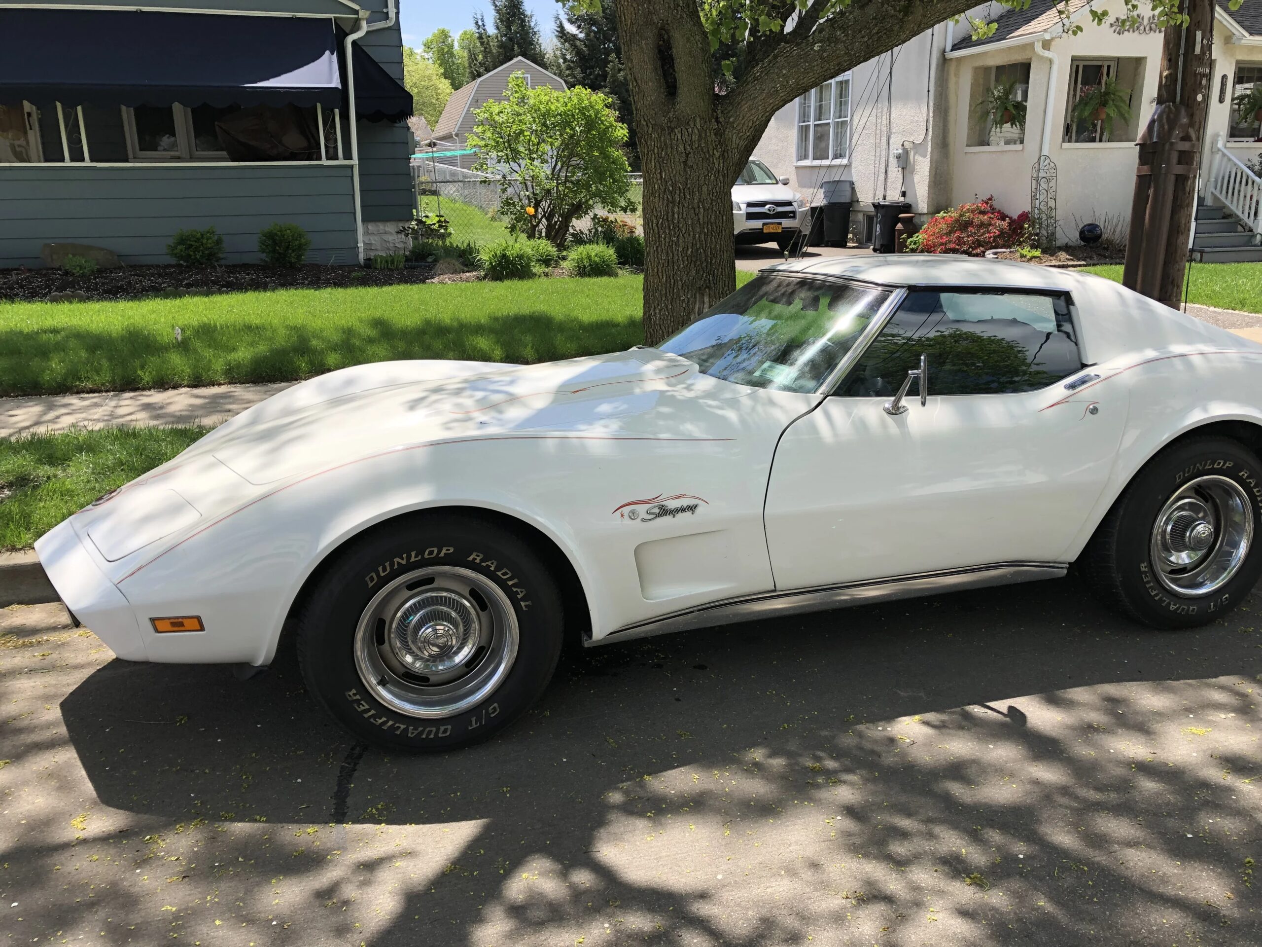 Chevrolet-Corvette-stingray-1974-White-Black-1
