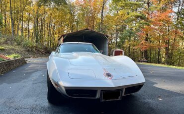 Chevrolet-Corvette-stingray-1974-White-Black-10