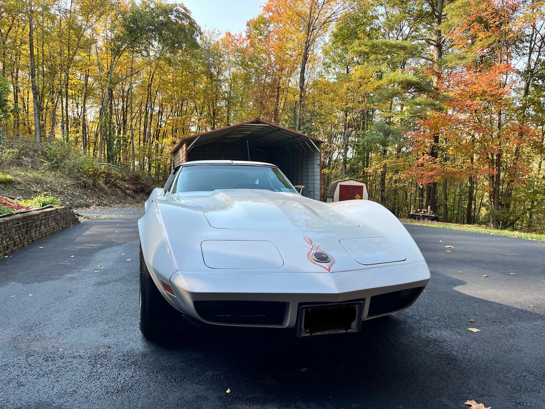 Chevrolet-Corvette-stingray-1974-White-Black-10