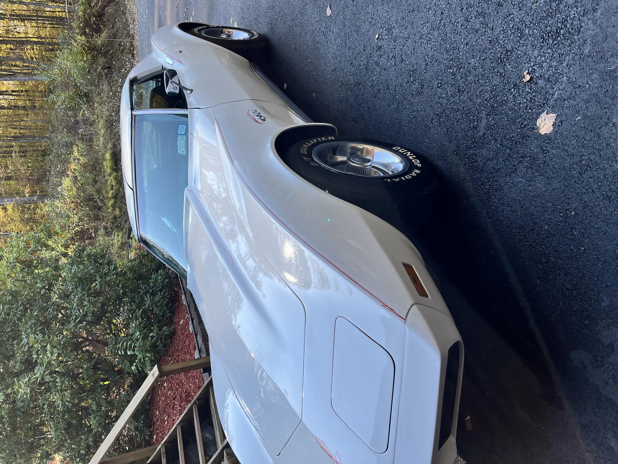 Chevrolet-Corvette-stingray-1974-White-Black-11