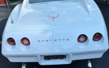 Chevrolet-Corvette-stingray-1974-White-Black-12