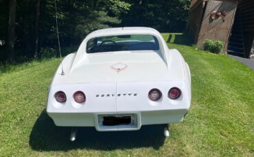 Chevrolet-Corvette-stingray-1974-White-Black-14