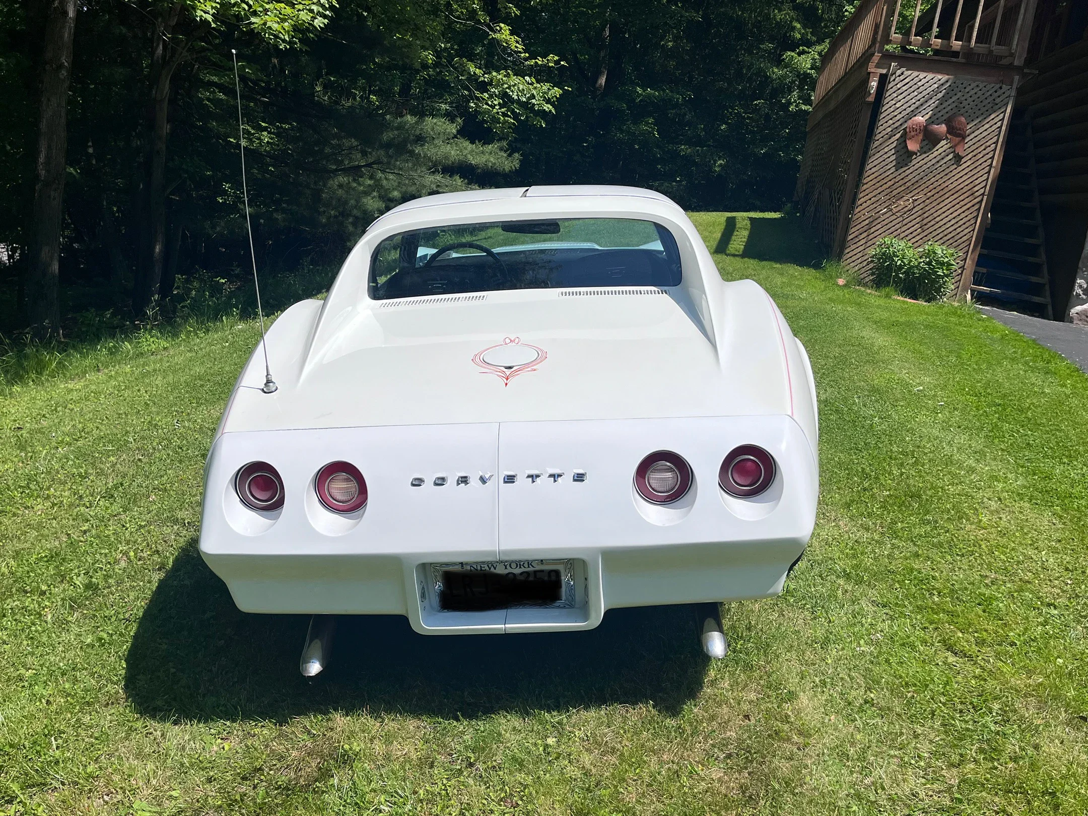 Chevrolet-Corvette-stingray-1974-White-Black-14