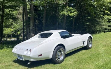Chevrolet-Corvette-stingray-1974-White-Black-15