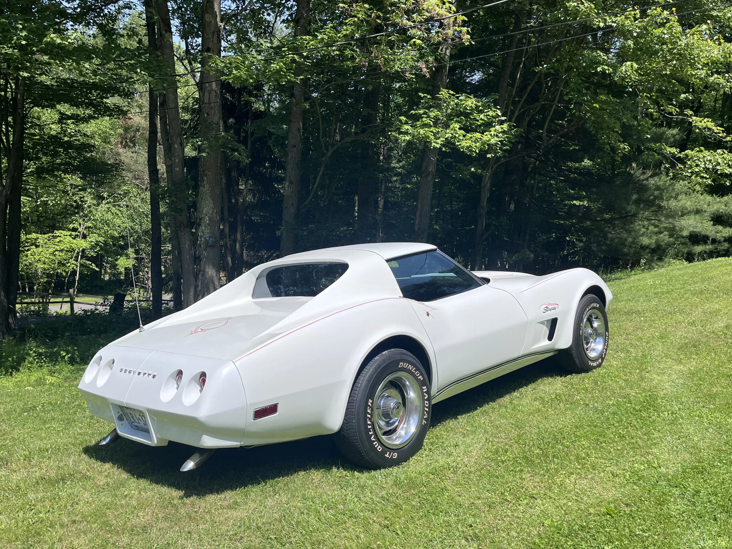 Chevrolet-Corvette-stingray-1974-White-Black-15