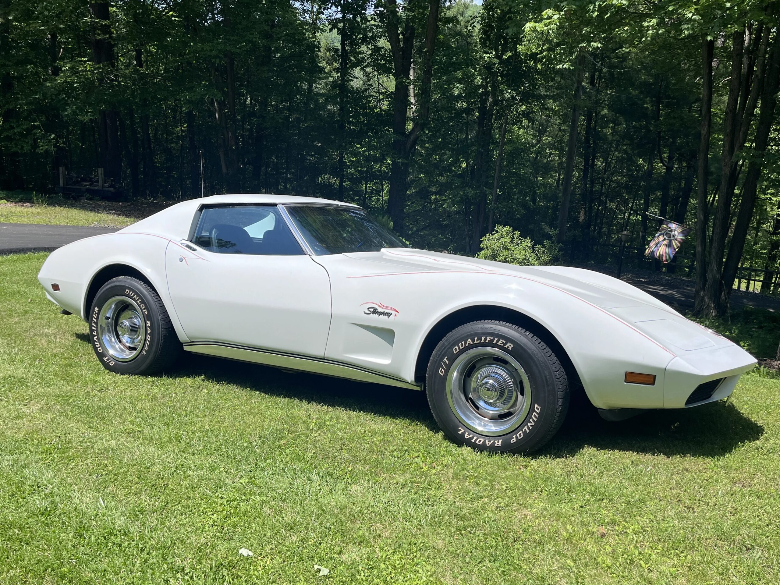 Chevrolet-Corvette-stingray-1974-White-Black-16