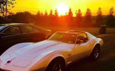Chevrolet-Corvette-stingray-1974-White-Black-17