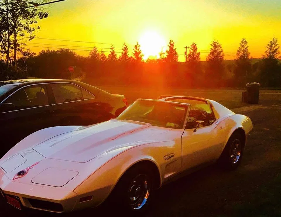 Chevrolet-Corvette-stingray-1974-White-Black-17