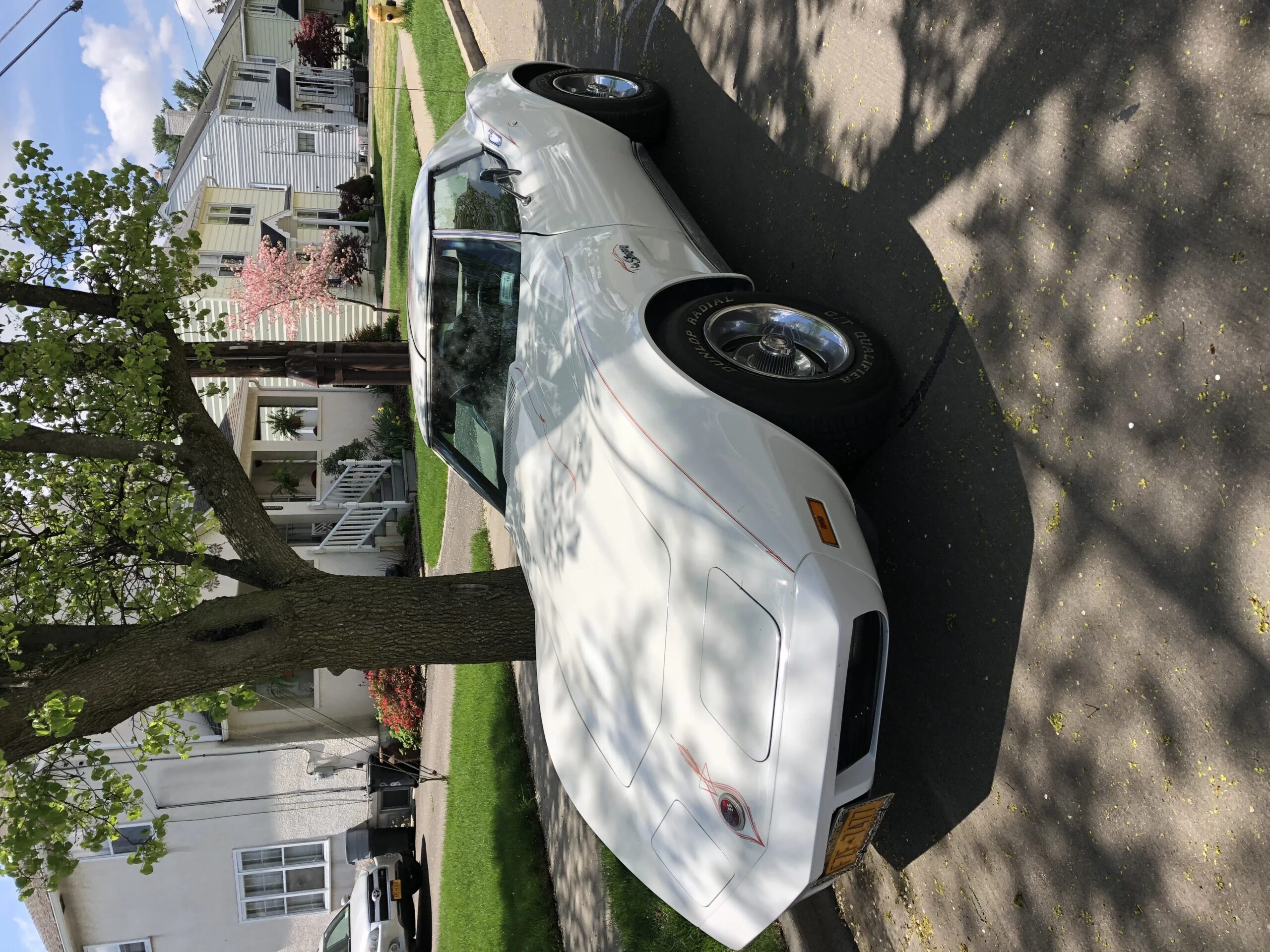 Chevrolet-Corvette-stingray-1974-White-Black-18