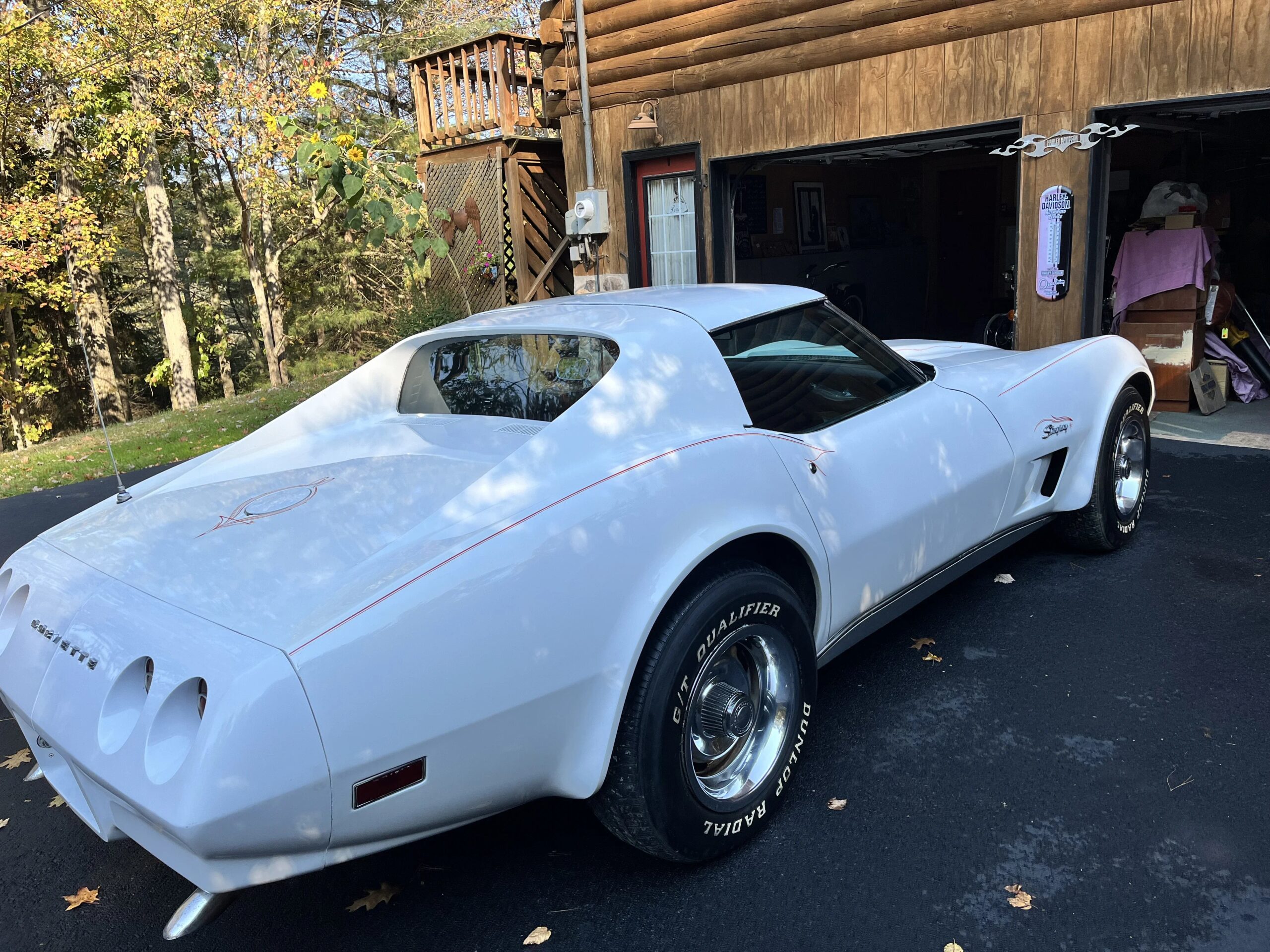 Chevrolet-Corvette-stingray-1974-White-Black-19