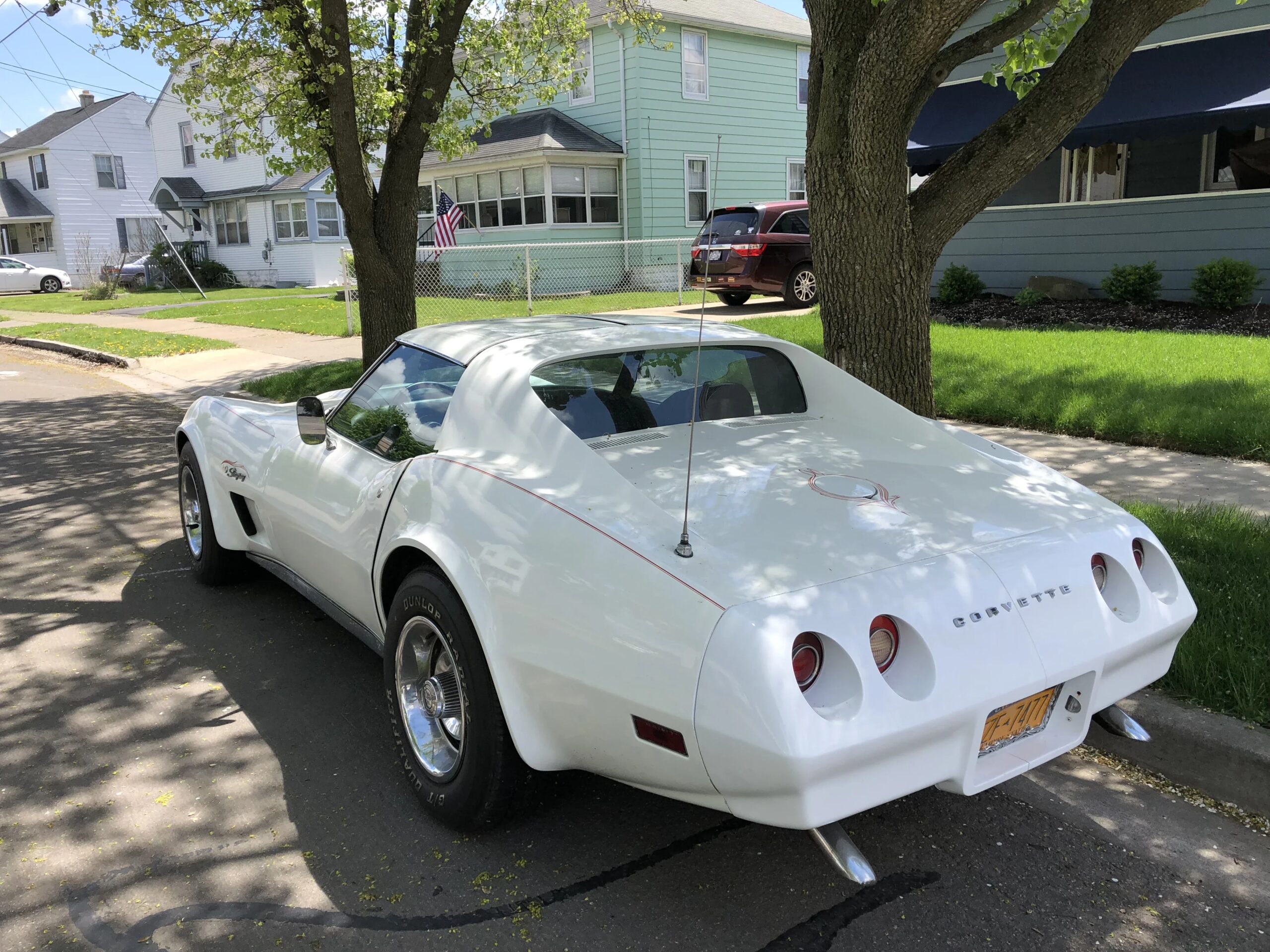 Chevrolet-Corvette-stingray-1974-White-Black-2