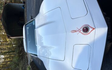 Chevrolet-Corvette-stingray-1974-White-Black-20