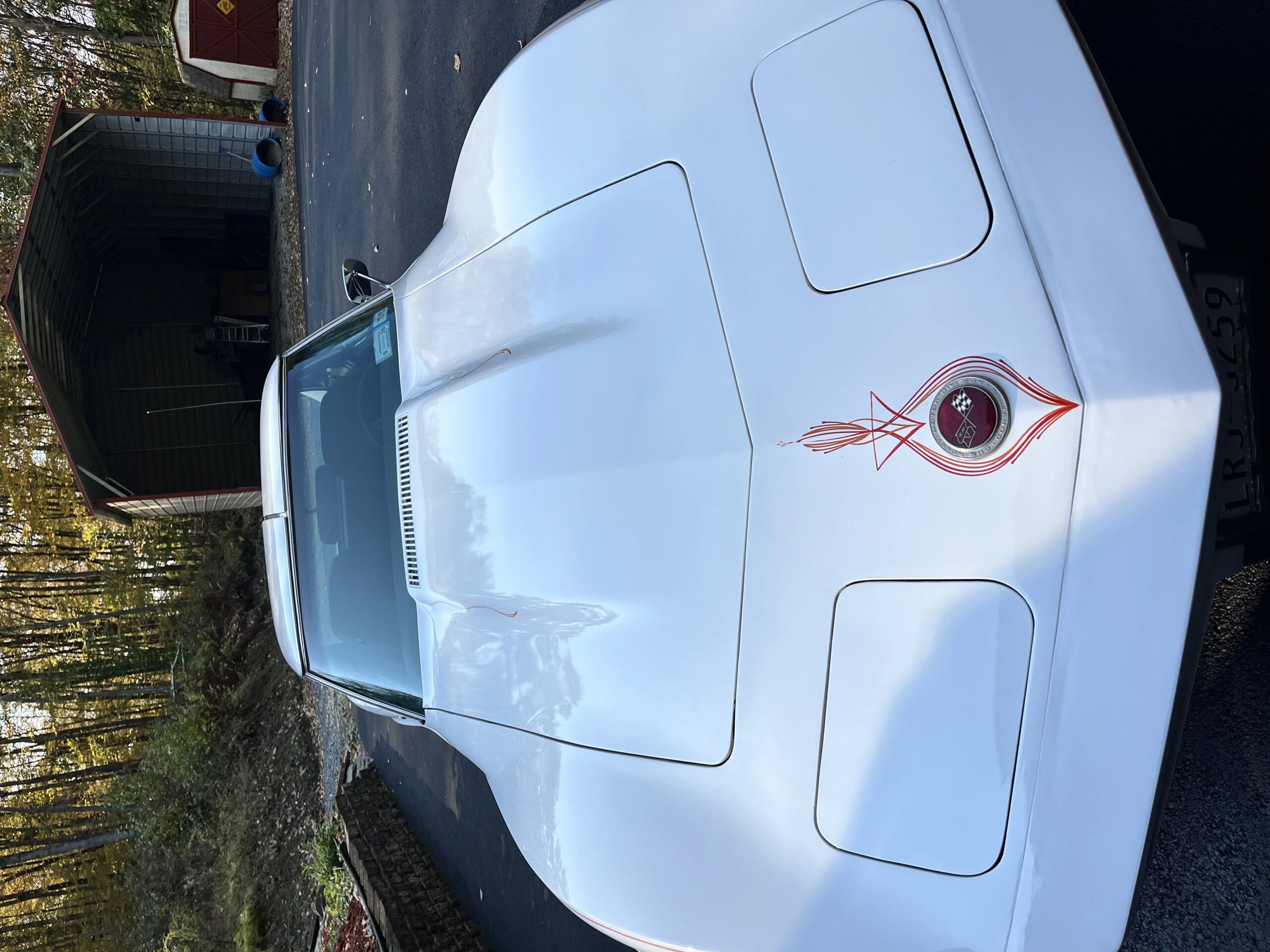 Chevrolet-Corvette-stingray-1974-White-Black-20