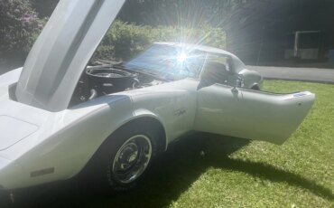 Chevrolet-Corvette-stingray-1974-White-Black-23