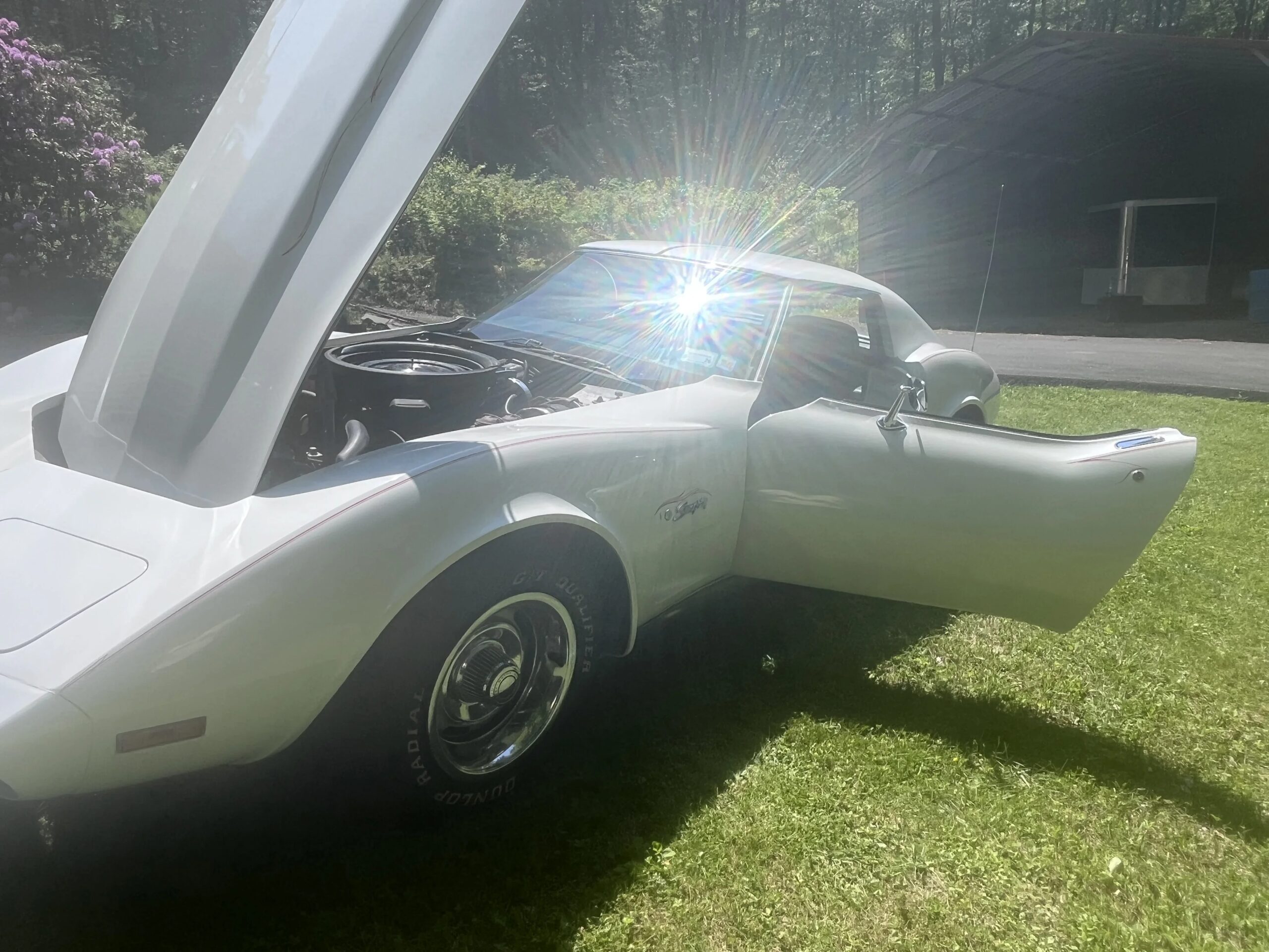Chevrolet-Corvette-stingray-1974-White-Black-23