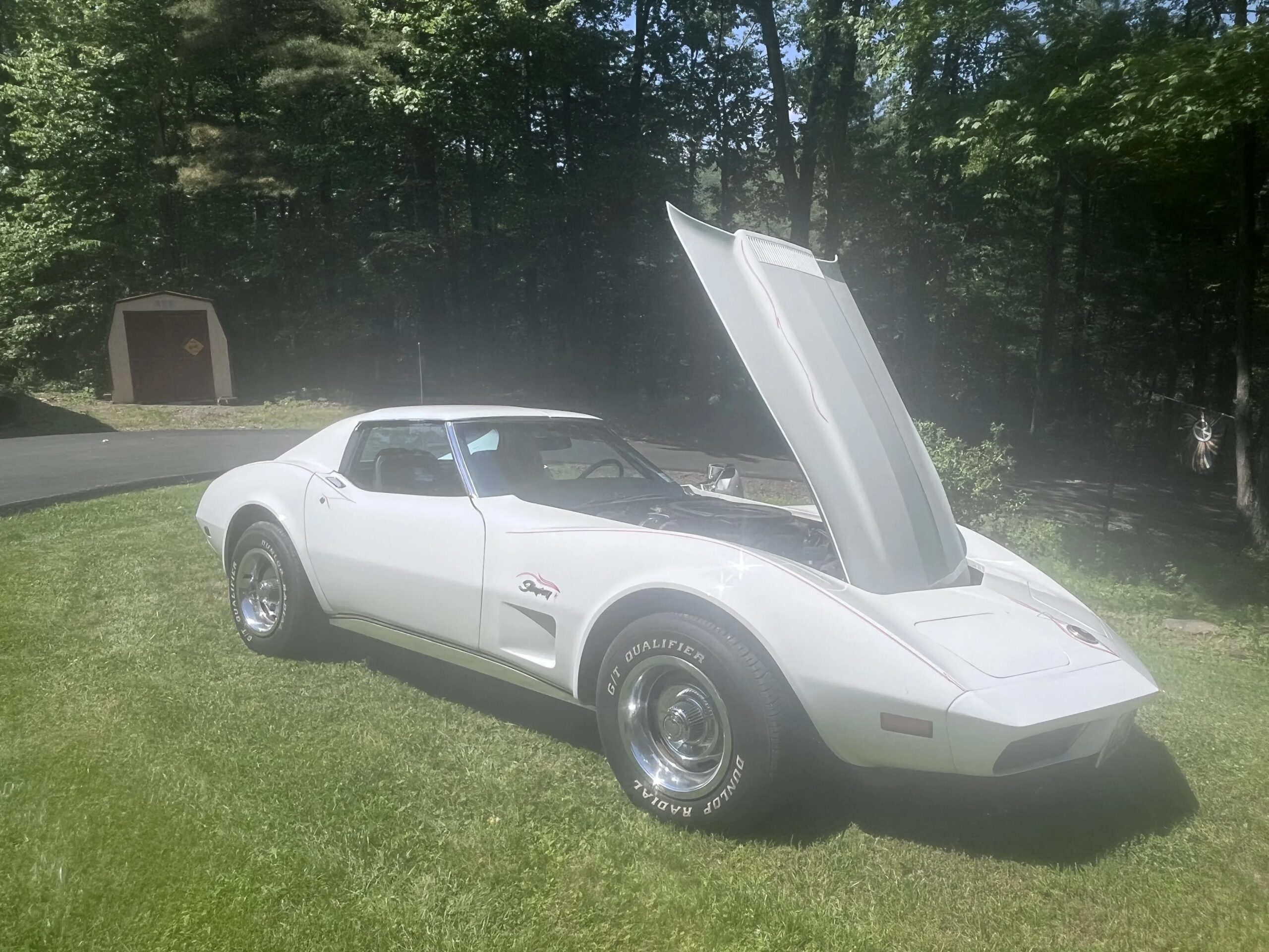 Chevrolet-Corvette-stingray-1974-White-Black-24