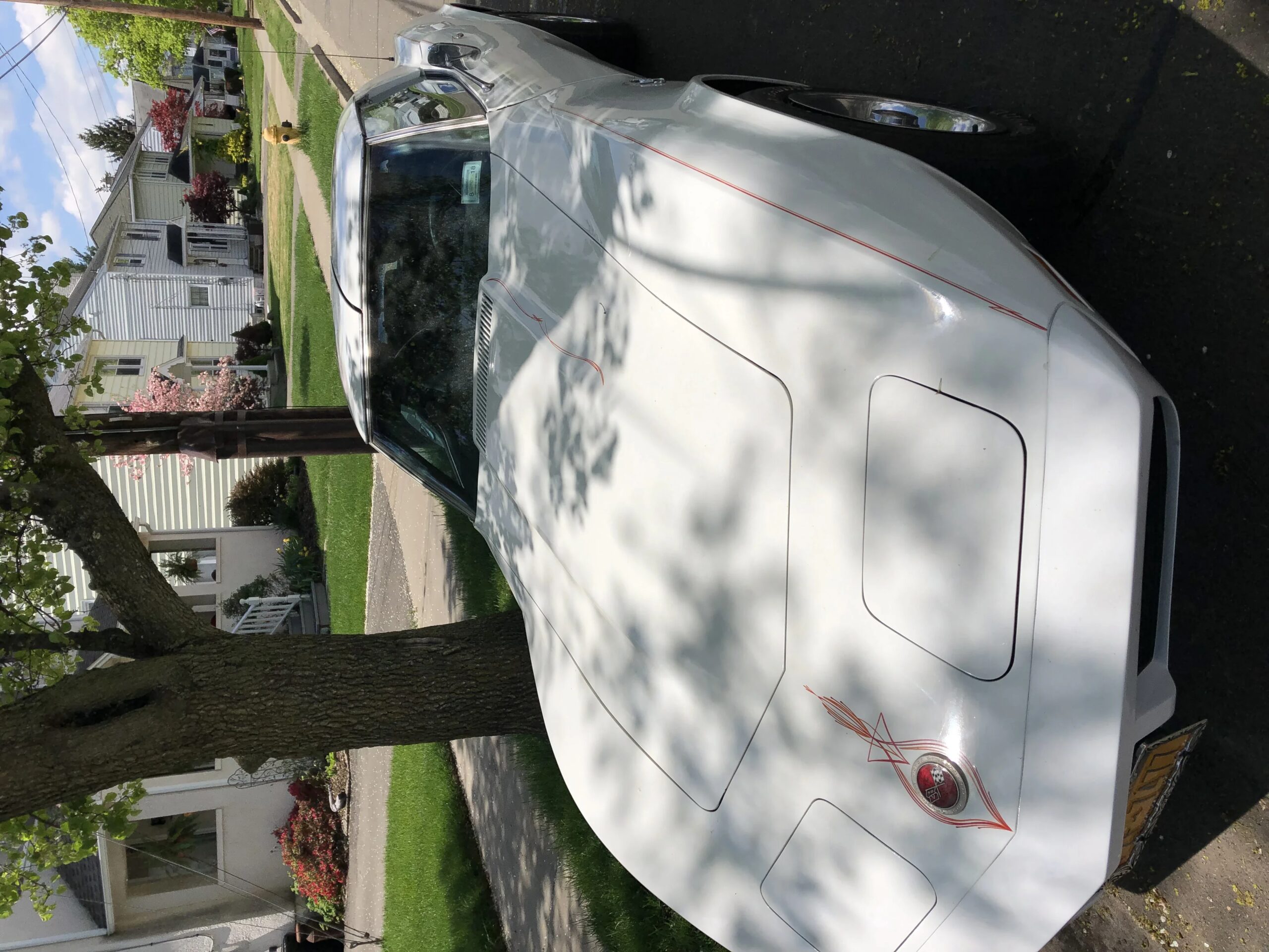 Chevrolet-Corvette-stingray-1974-White-Black-3
