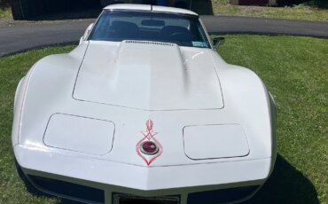 Chevrolet-Corvette-stingray-1974-White-Black-30
