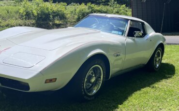 Chevrolet-Corvette-stingray-1974-White-Black-31