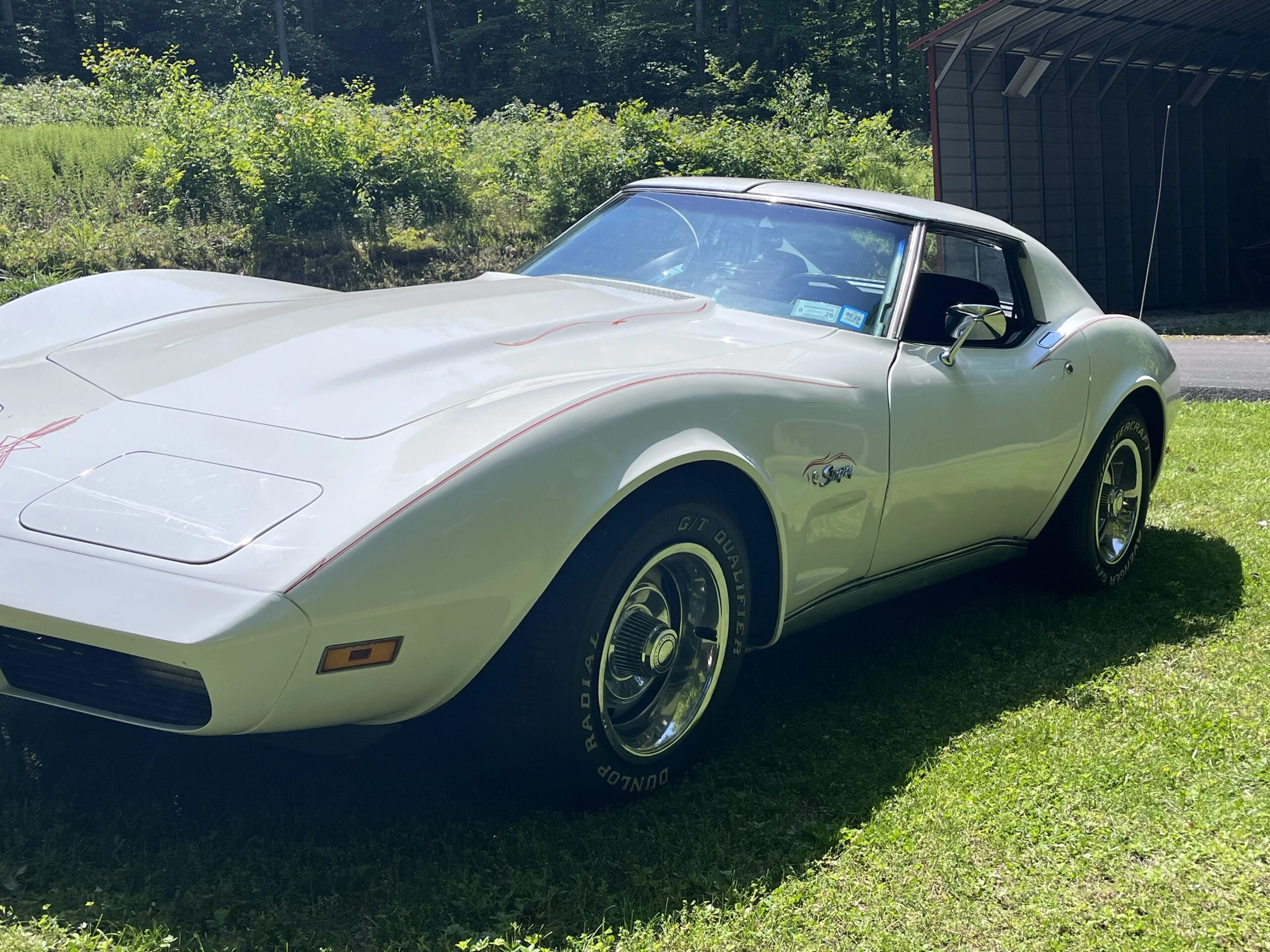 Chevrolet-Corvette-stingray-1974-White-Black-31
